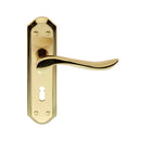 Lytham Lever on Lock Backplate (Latch & Hinges Included)