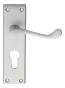 Victorian Scroll Lever on Euro Lock Backplate