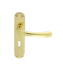 Ibra Lever On Backplate Lock 57mm C/C (Latch & Hinges Included)