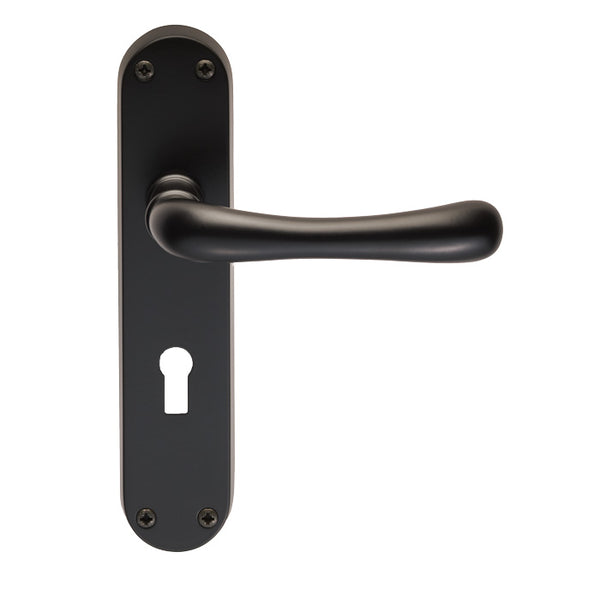 Ibra Lever on Lock Backplate
