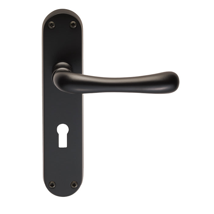 Ibra Lever on Lock Backplate