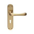 Ibra Lever on Lock Backplate