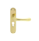 Ibra Lever on Euro Lock Backplate (Latch & Hinges Included)
