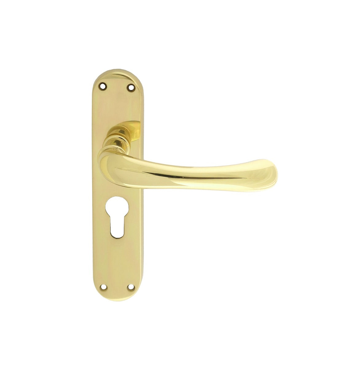 Ibra Lever on Euro Lock Backplate (Latch & Hinges Included)