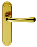 Ibra Lever On Backplate Latch (Latch & Hinges Included)