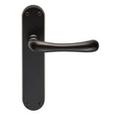 Ibra Lever on Latch Backplate (Latch & Hinges Included)