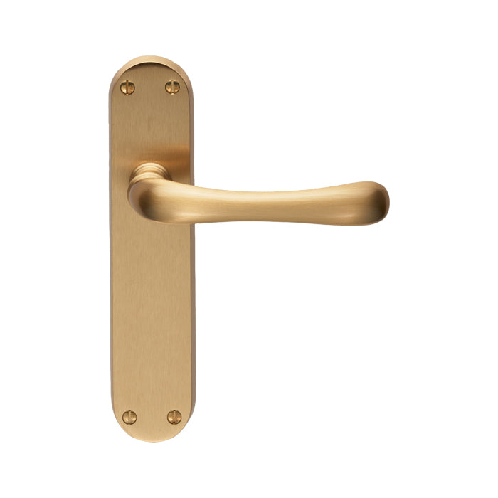 Ibra Lever on Latch Backplate