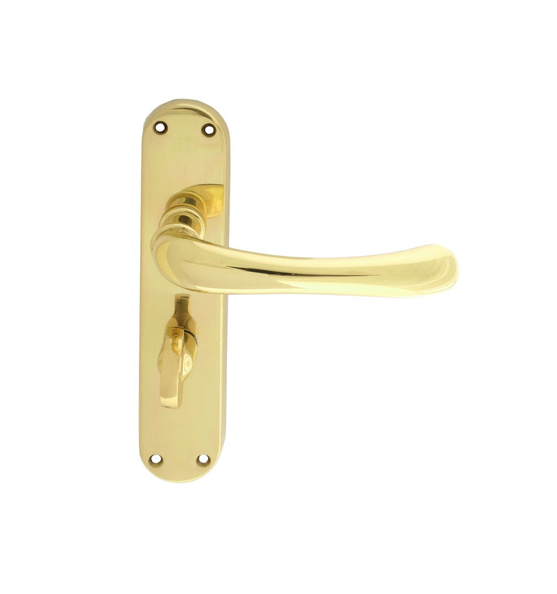 Ibra Lever on WC Backplate (Latch & Hinges Included)