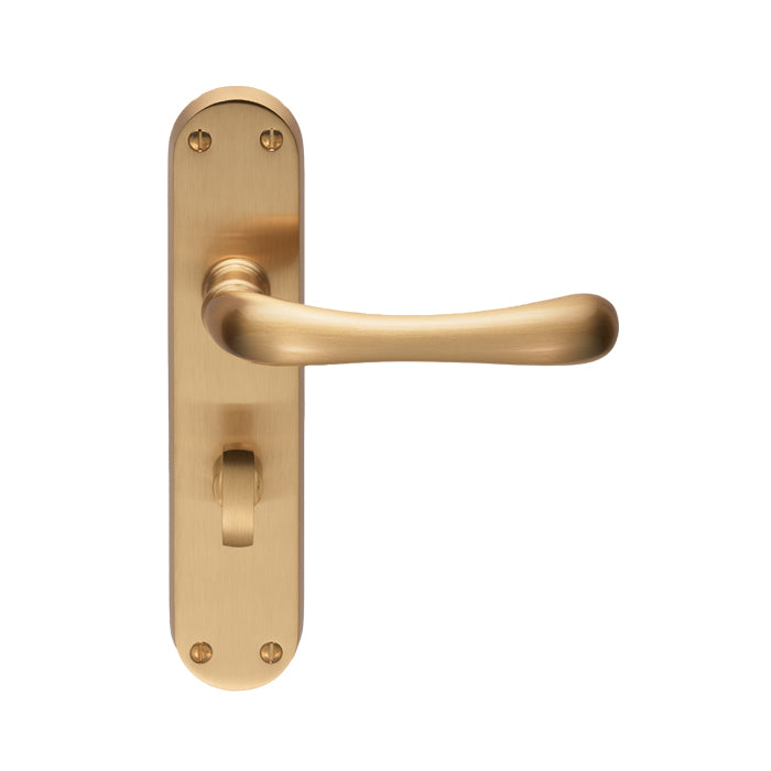 Ibra Lever on WC Backplate