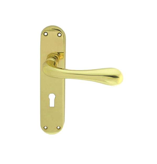 Astro Lever on Lock Backplate