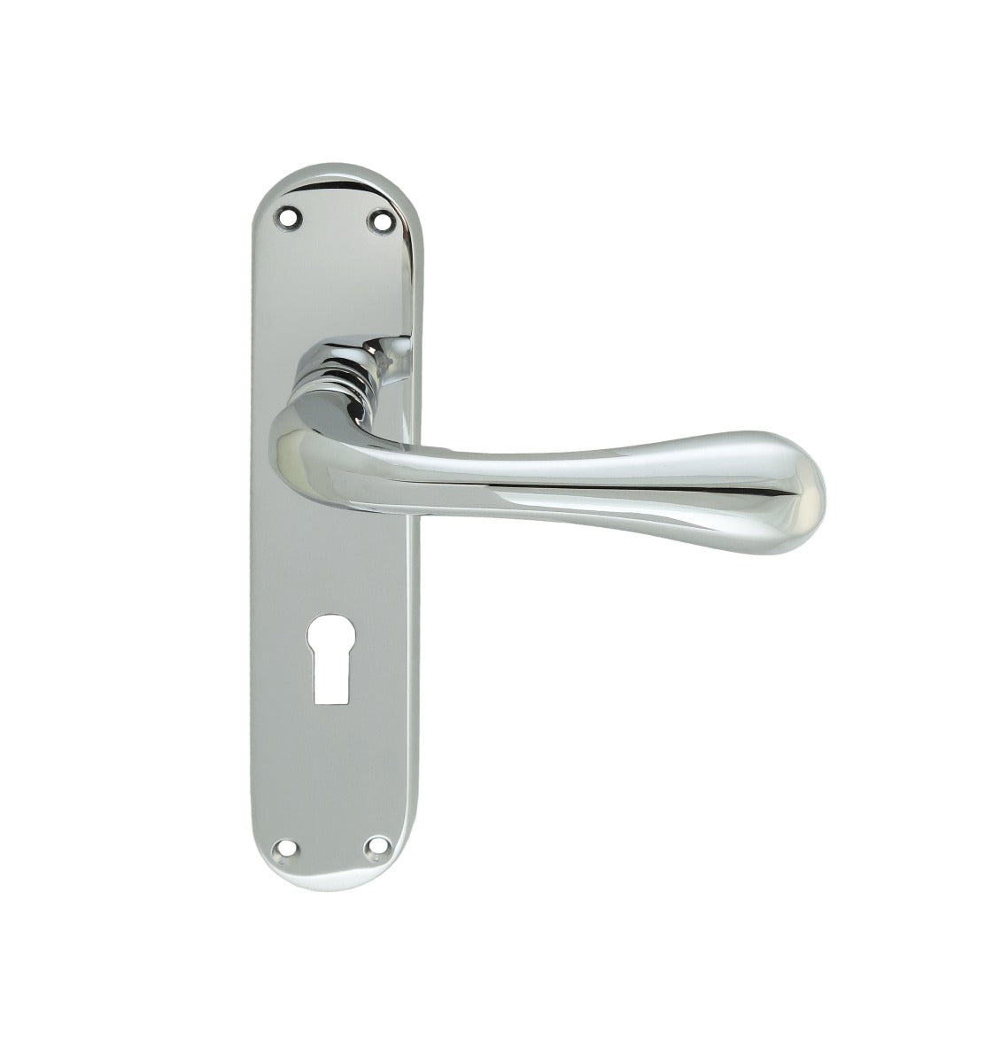 Astro Lever on Lock Backplate (Latch & Hinges Included)