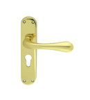 Astro Lever on Euro Lock Backplate Lever On Backplate Manital Polished Brass 