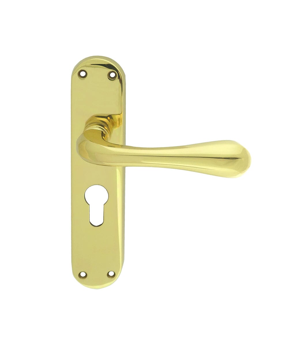 Astro Lever on Euro Lock Backplate Lever On Backplate Manital Polished Brass 