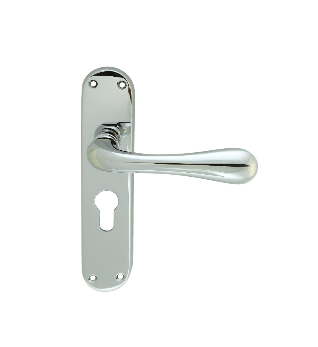 Astro Lever on Euro Lock Backplate (Latch & Hinges Included)