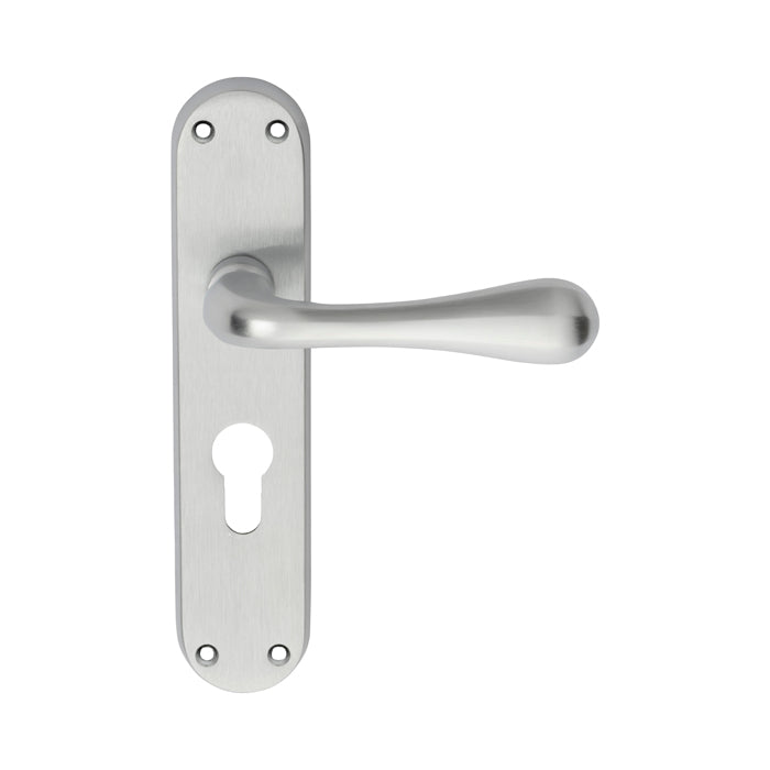Astro Lever on Euro Lock Backplate (Latch & Hinges Included)