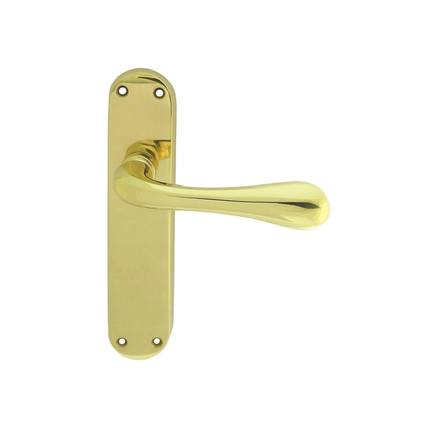 Astro Lever on Latch Backplate