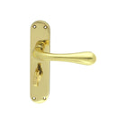 Astro Lever on WC Backplate Lever On Backplate Manital Polished Brass 