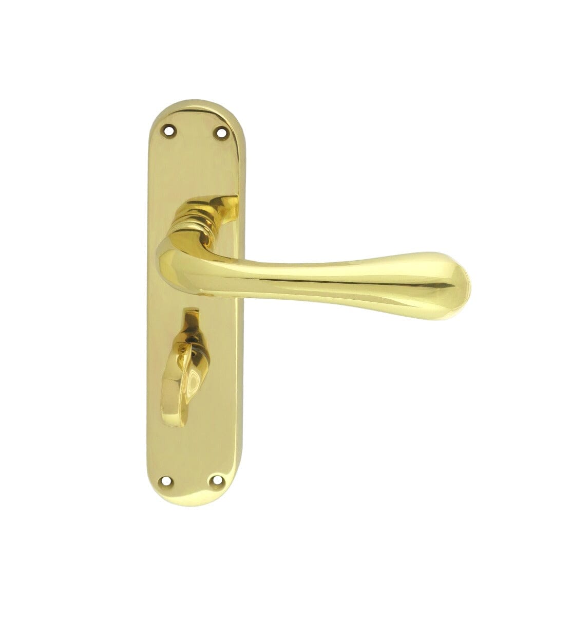 Astro Lever on WC Backplate Lever On Backplate Manital Polished Brass 