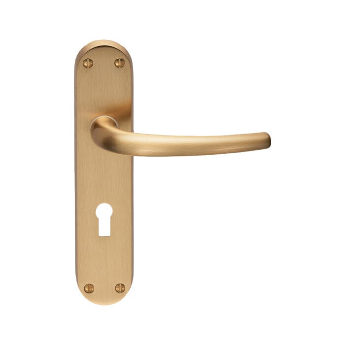 Lilla Lever on Lock Backplate