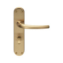 Lilla Lever on WC Backplate (Latch & Hinges Included)