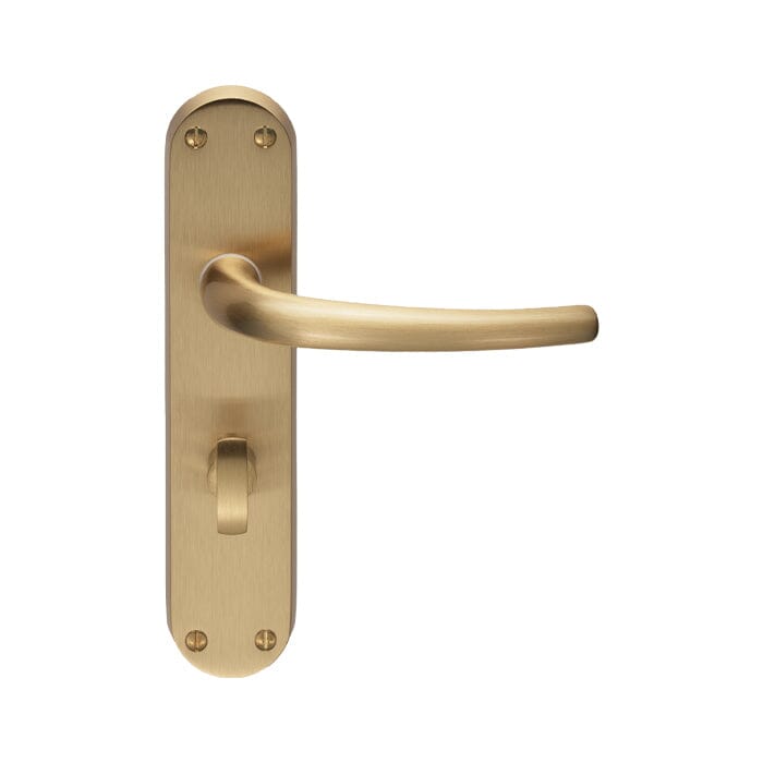 Lilla Lever on WC Backplate (Latch & Hinges Included)
