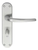 Lilla Lever on WC Backplate (Latch & Hinges Included)
