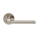 Trentino Lever on Rose (Latch & Hinges Included) Lever On Rose Carlisle Brass Satin Nickel 