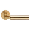 Amiata Lever on Rose (Latch & Hinges Included)