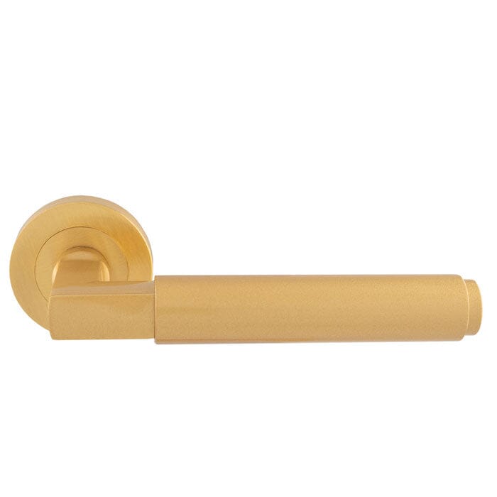 Masano Lever On Rose
