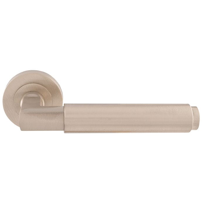 Masano Lever On Rose