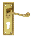 Georgian Lever on Euro Lock Backplate (Latch & Hinges Included)
