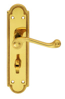 Georgian Lever on Shaped WC Backplate (Latch & Hinges Included)