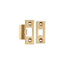 Tls Forend & Strike Pack Forend & Strike Eurospec Satin Brass 