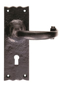 Traditional Lever on Lock Backplate (Latch & Hinges Included) Lever On Backplate Carlisle Brass Black Antique 