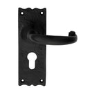 Traditional Lever on Euro Lock Backplate (Latch & Hinges Included) Lever On Backplate Carlisle Brass Black Antique 