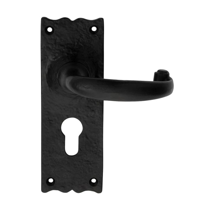 Traditional Lever on Euro Lock Backplate (Latch & Hinges Included) Lever On Backplate Carlisle Brass Black Antique 