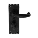 Traditional Lever on WC Backplate (Latch & Hinges Included) Lever On Backplate Carlisle Brass Black Antique 