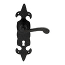 Fleur de Lys Lever on Lock Backplate (Latch & Hinges Included)