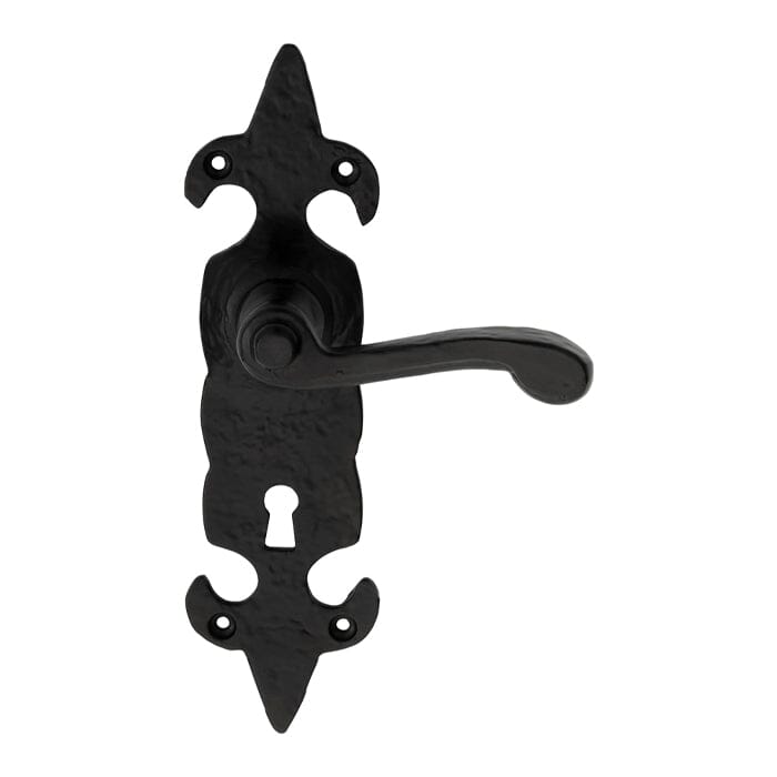 Fleur de Lys Lever on Lock Backplate (Latch & Hinges Included)