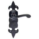 Fleur de Lys Lever on Latch Backplate (Latch & Hinges Included)