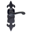 Fleur de Lys Lever on Latch Backplate
