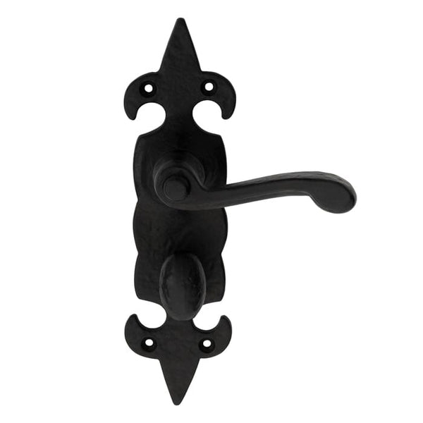 Fleur de Lys Lever on WC Backplate
