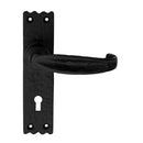 Slimline V Lever on Lock Backplate (Latch & Hinges Included) Lever On Backplate Carlisle Brass Black Antique 