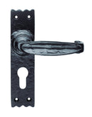 Slimline V Lever on Euro Lock Backplate (Latch & Hinges Included) Lever On Backplate Carlisle Brass Black Antique 