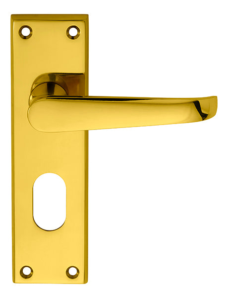 Victorian Lever on Oval Lock Backplate Polished Brass M30U