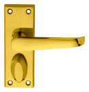 Victorian Lever on Privacy Backplate (Latch & Hinges Included)