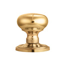 Concealed Fix Mushroom Mortice Knob