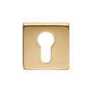 Square Euro Profile Escutcheon