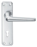 Aluminium Lever on Lock Backplate (Latch & Hinges Included)