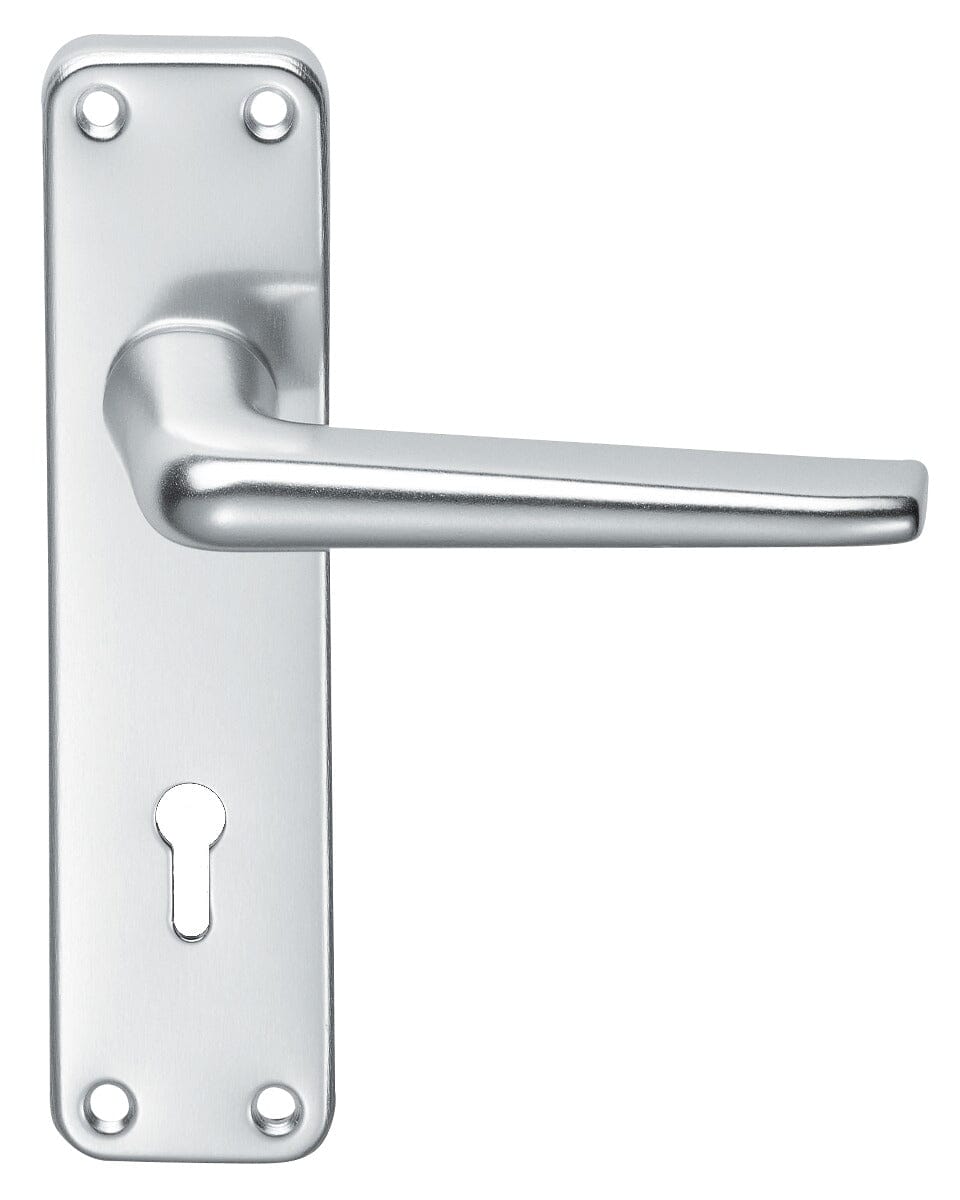 Aluminium Lever on Lock Backplate (Latch & Hinges Included)